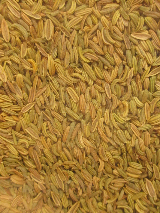 Chef's Quality Whole Fennel Seed 12 Oz Jar with green and white label