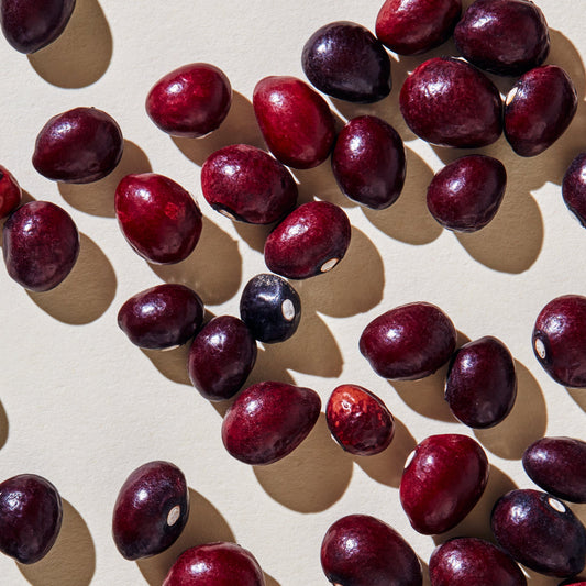 Heartland Bulk Cranberry Beans 25 lb high quality product image