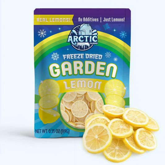 Premium Dehydrated Lemon Slices in pouch for cocktails and culinary use