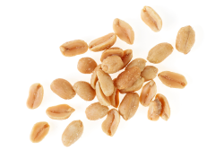 Bulk 4.25 lbs jar of Chef's Quality Dry Roasted Peanuts