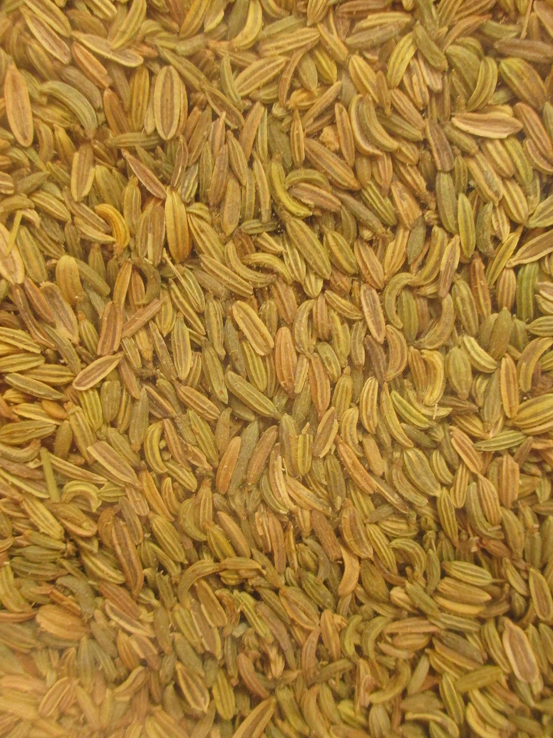 Chef's Quality Whole Fennel Seed 12 Oz Jar with green and white label