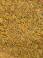 Chef's Quality Whole Fennel Seed 12 Oz Jar with green and white label