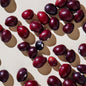 Heartland Bulk Cranberry Beans 25 lb high quality product image